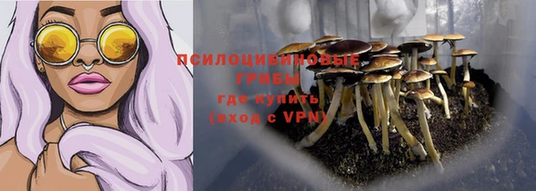 мяу мяу мука Алексин
