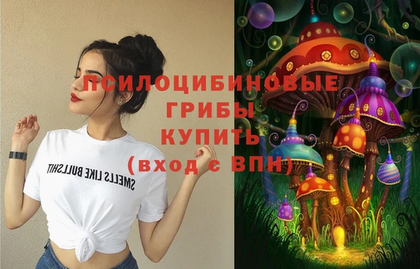 тгк Абдулино