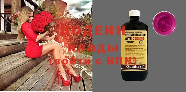 прущие грибы Абаза
