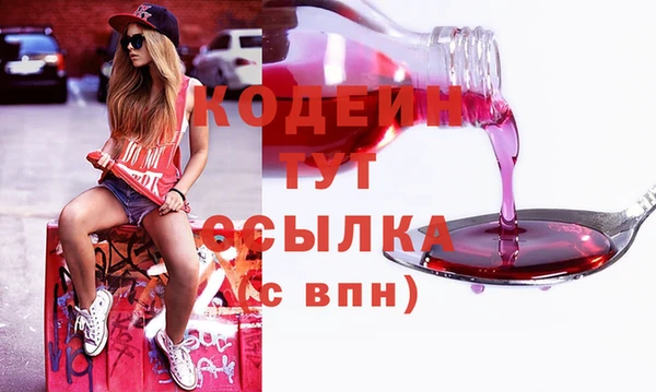 прущие грибы Абаза