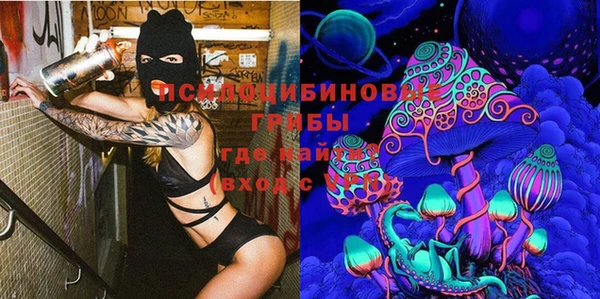 тгк Абдулино