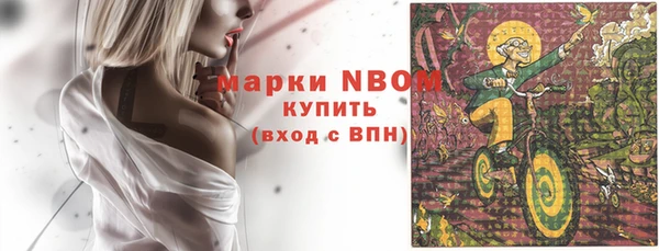 прущие грибы Абаза