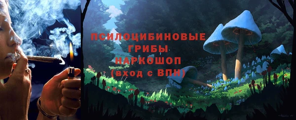 прущие грибы Абаза
