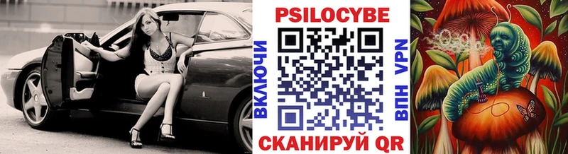 как найти закладки  Зеленогорск  Галлюциногенные грибы Cubensis 